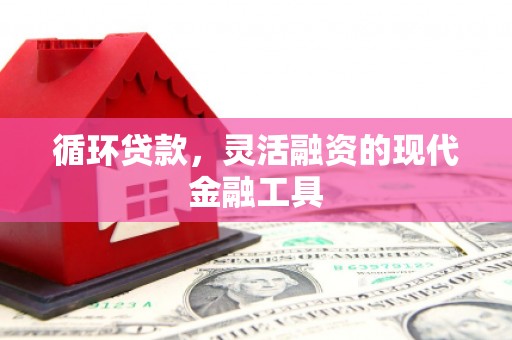 舒城循环贷款，灵活融资的现代金融工具
