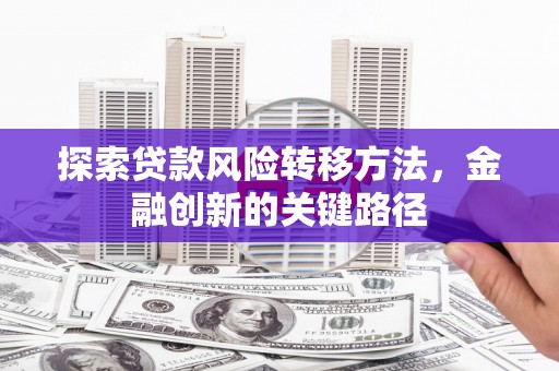 舒城探索贷款风险转移方法，金融创新的关键路径