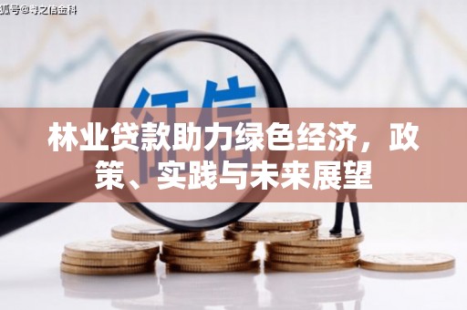舒城林业贷款助力绿色经济，政策、实践与未来展望