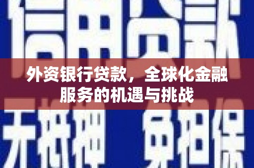 舒城外资银行贷款，全球化金融服务的机遇与挑战